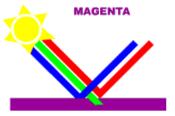 magenta